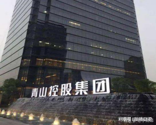 PG电子官方网站中国最大钢铁民企：营收三千亿超沙钢集团拥有全球第一大镍矿(图5)