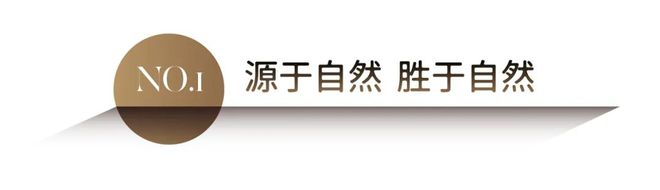 PG电子模拟器在线试玩科技造就自然之美 关于莫干山科技木的这几件事你一定要知道！(图1)